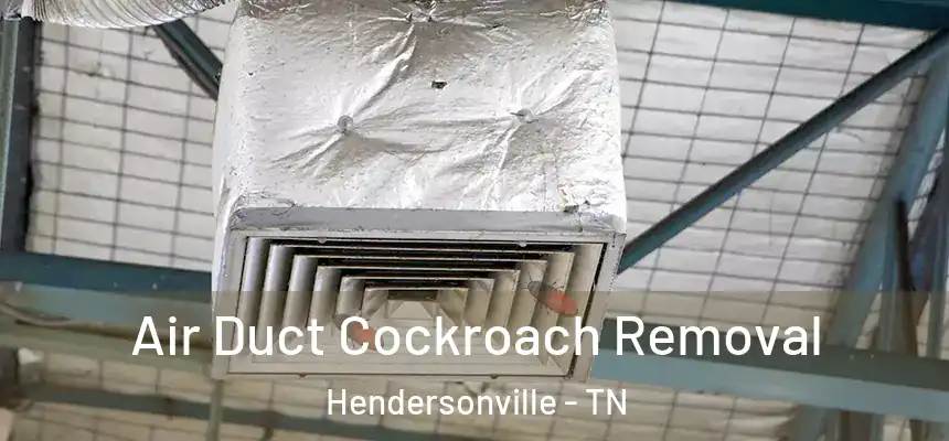  Air Duct Cockroach Removal Hendersonville - TN