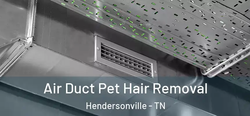  Air Duct Pet Hair Removal Hendersonville - TN
