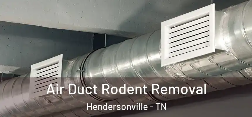  Air Duct Rodent Removal Hendersonville - TN