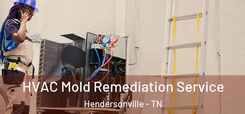  HVAC Mold Remediation Service Hendersonville - TN