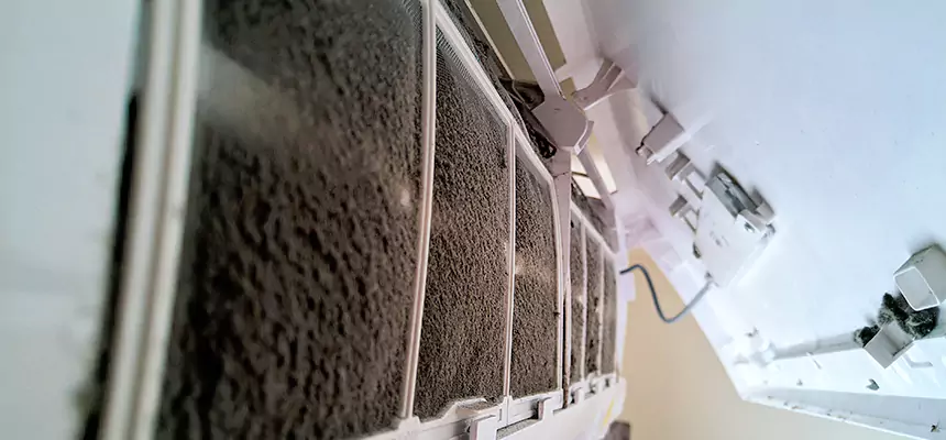 Preventive Air Duct Bacteria Removal in Hendersonville