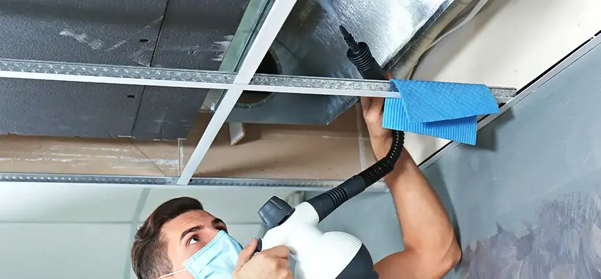 Our Air Duct Rodent Removal Services in Hendersonville, TN