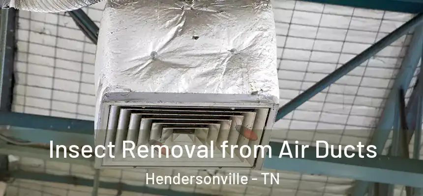  Insect Removal from Air Ducts Hendersonville - TN