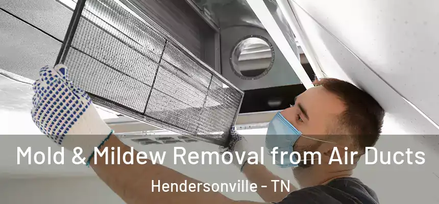  Mold & Mildew Removal from Air Ducts Hendersonville - TN