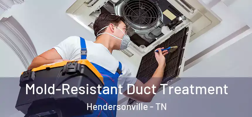  Mold-Resistant Duct Treatment Hendersonville - TN