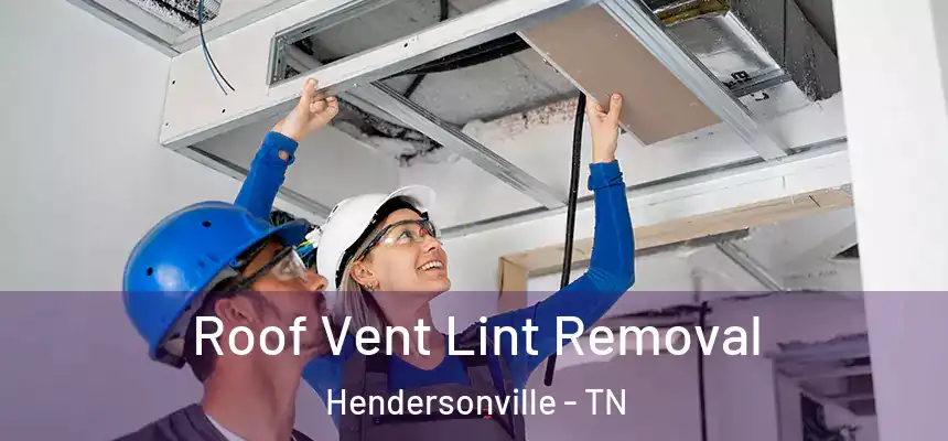  Roof Vent Lint Removal Hendersonville - TN