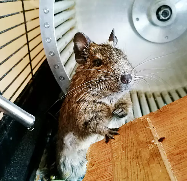 Why Homeowners & Businesses Trust Us Hendersonville, TN