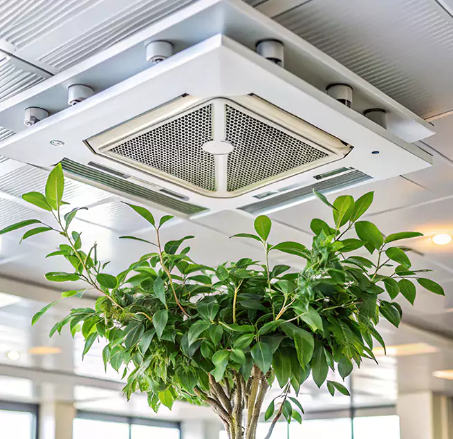 Why Homeowners & Businesses Trust Us in Hendersonville, TN?